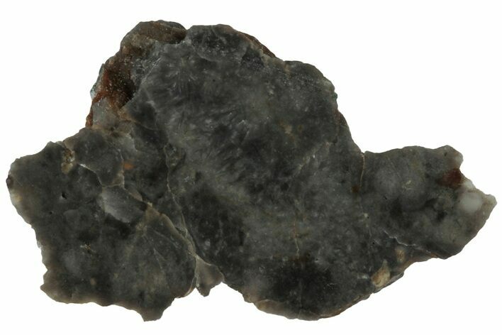 NWA Lunar Meteorite ( g) Section #307653